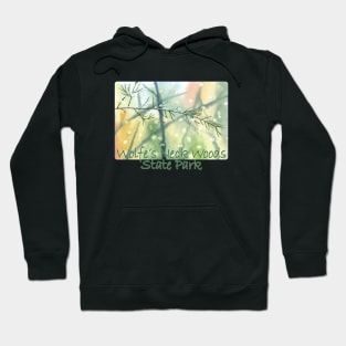 Wolfe's Neck Woods State Park, Maine Hoodie